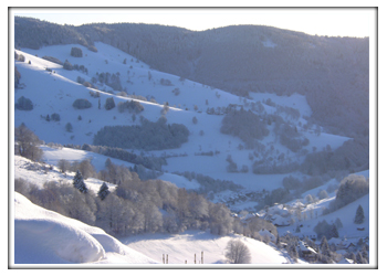 Wieden Winter